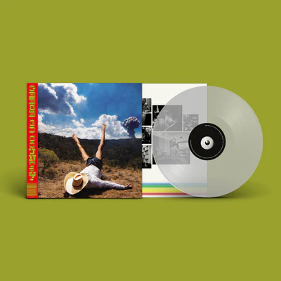 3D Country - Geese [VINYL Limited Edition]