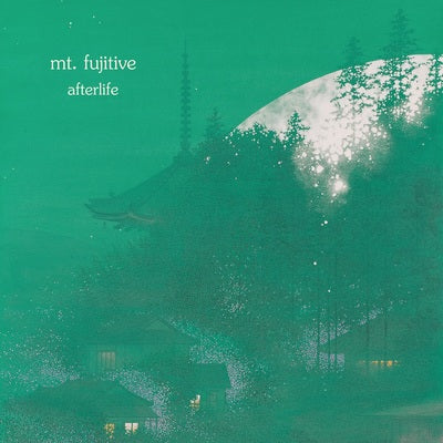 Afterlife (Ltd Green Marbled LP) - mt fujitive [Colour Vinyl] - Image 2