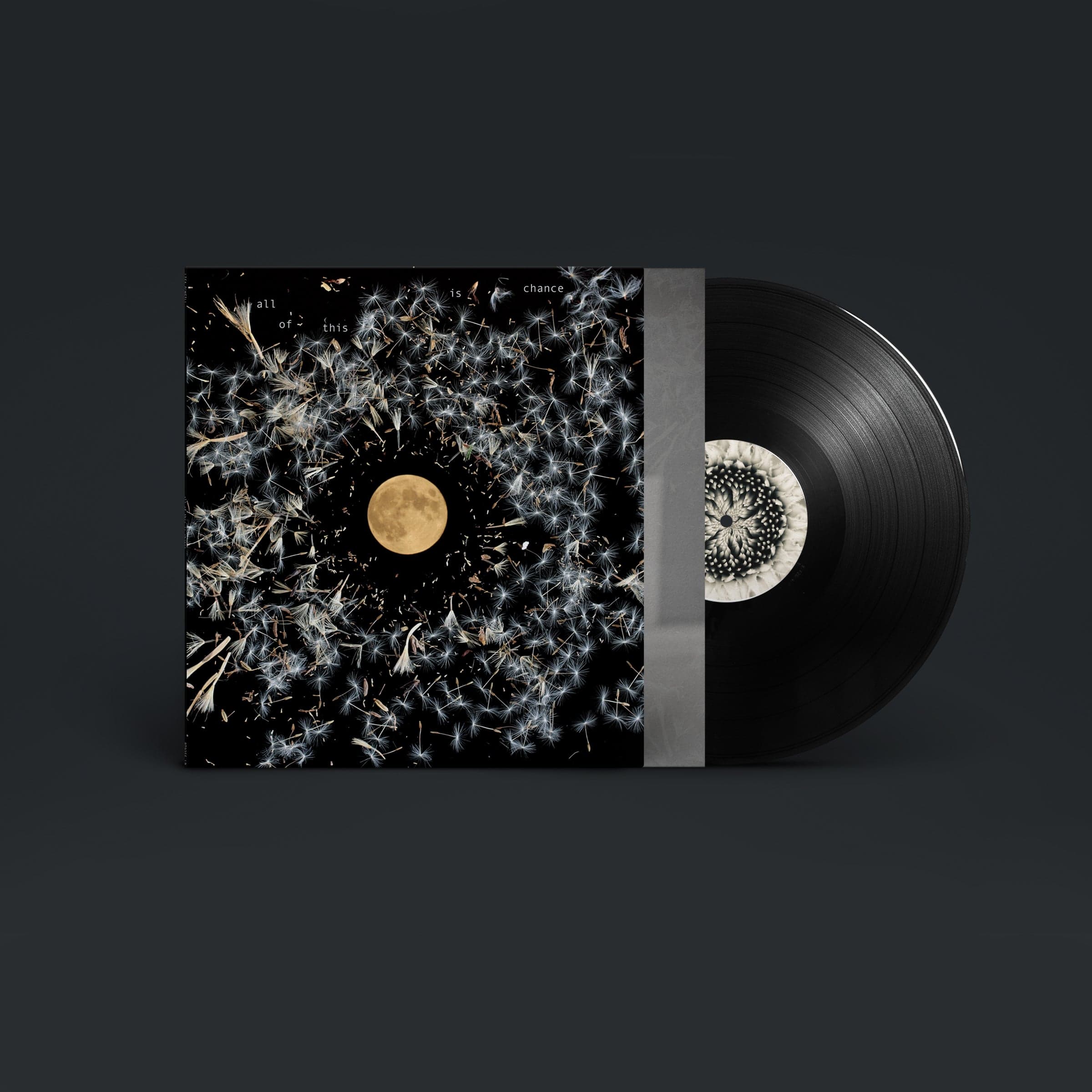 All of This Is Chance:   - Lisa O'Neill [VINYL] - Image 3