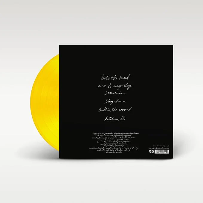 Boygenius - boygenius [Colour Vinyl] - Image 4