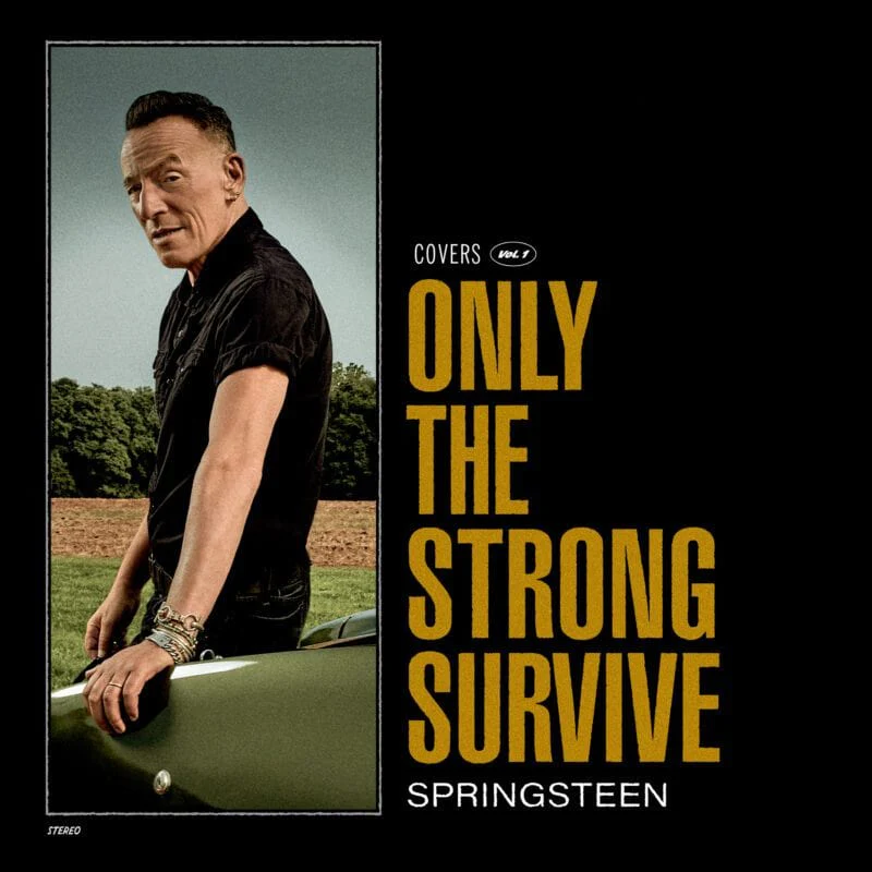 Only The Strong Survive - Bruce Springsteen [Colour Vinyl] - Image 2