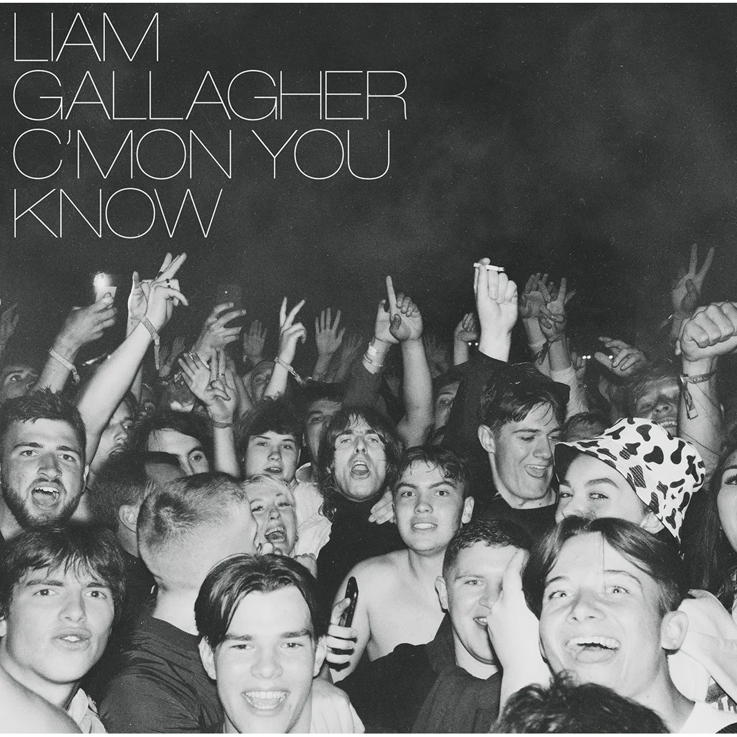 C'mon You Know: (Golden Discs Exclusive) - Liam Gallagher [Colour Vinyl] - Image 2