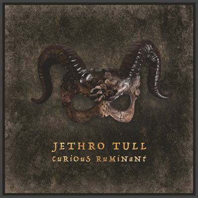 Curious Ruminant - Jethro Tull [VINYL]