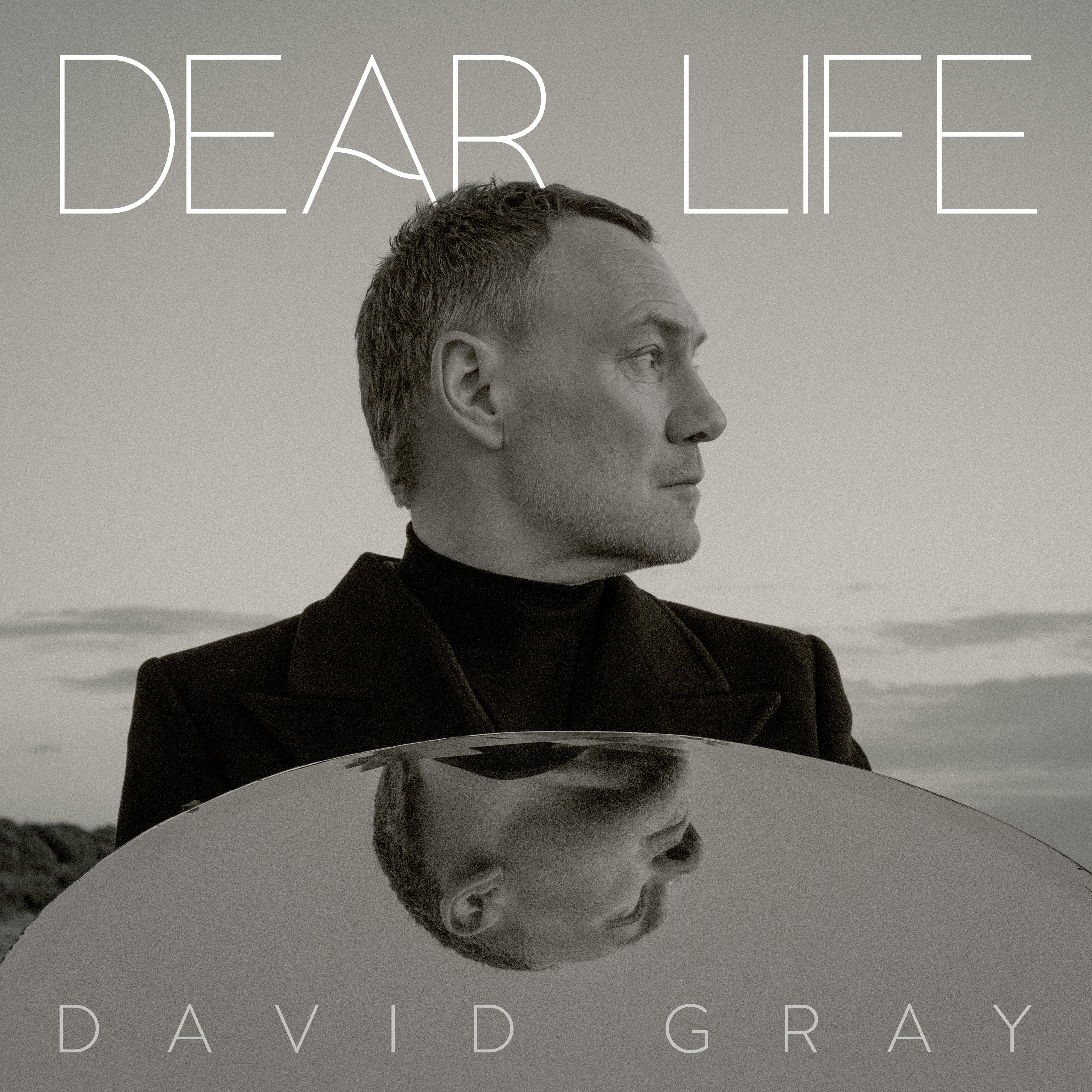Dear Life - David Gray [CD]