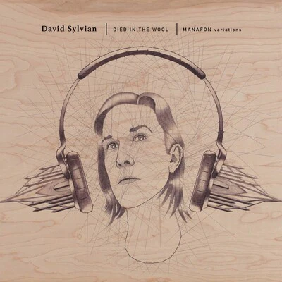 Died in the Wool: Manafon Variations - David Sylvian [VINYL] - Image 2