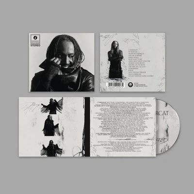 Distracted - Thundercat [CD]