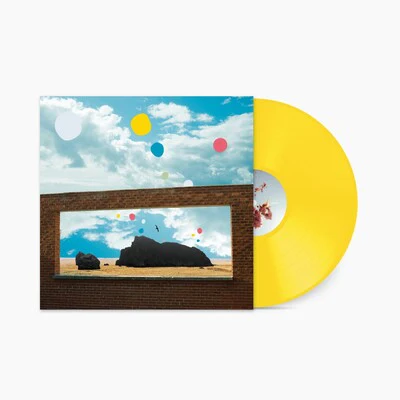 First of the Birds - Admiral Fallow [VINYL]