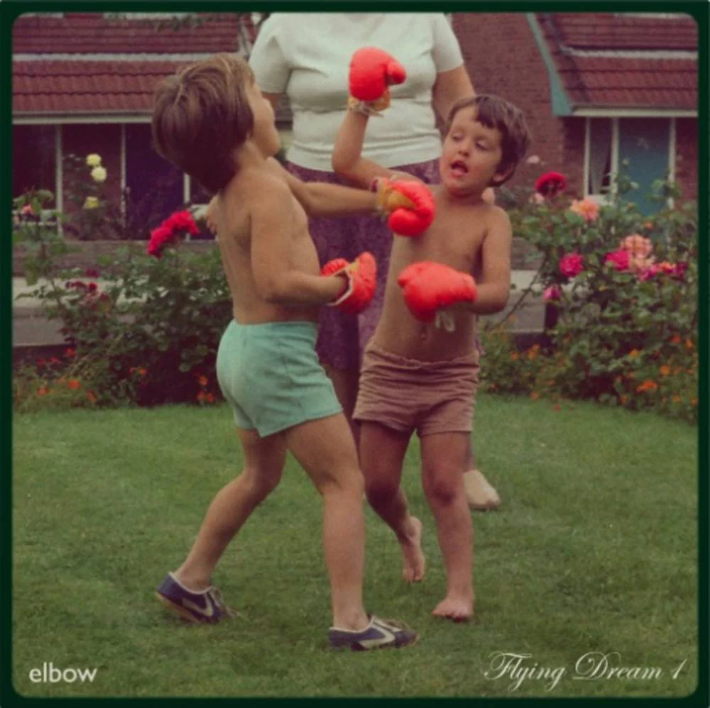 Flying Dream 1 - Elbow [Colour Vinyl] - Image 2