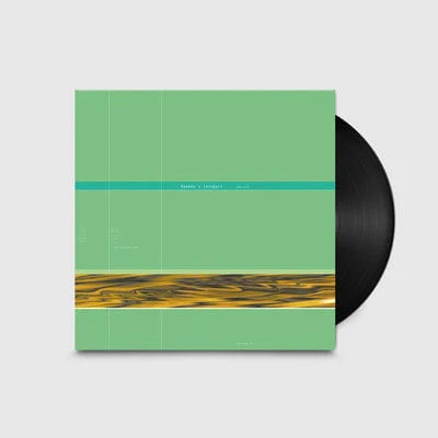 Ginger - Speedy J [VINYL]