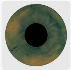 Hades (Forest Abyss Edition) - Melanie Martinez [Colour Vinyl] - Image 3