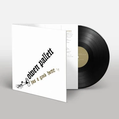 Has a Good Home - Owen Pallett [VINYL]