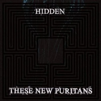 Hidden - These New Puritans [VINYL]