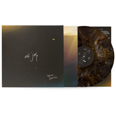 Hope We Have Fun - Mt. Joy [VINYL]