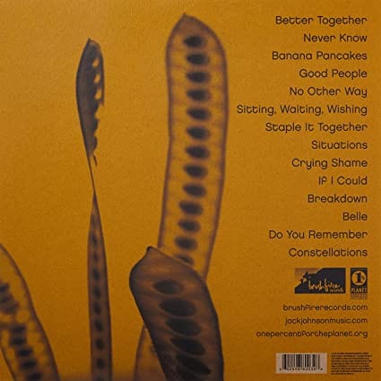 In Between Dreams - Jack Johnson [VINYL] - Image 2