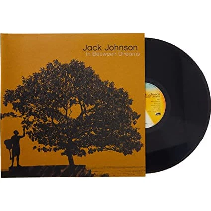 In Between Dreams - Jack Johnson [VINYL] - Image 3