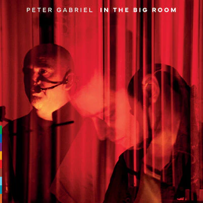 In the Big Room - Peter Gabriel [CD]