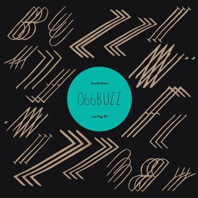 Last Page  - Towards Green [VINYL]