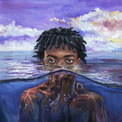 Learn 2 Swim - Redveil [VINYL]