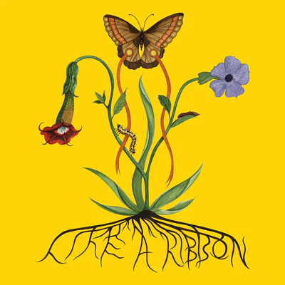 Like a Ribbon - John Glacier [VINYL]