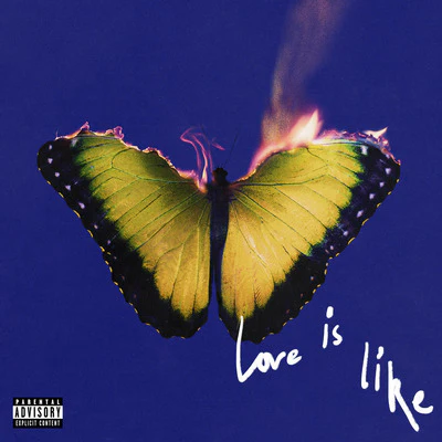 Love Is Like - Maroon 5 [Colour Vinyl] - Image 2