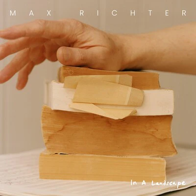 Max Richter: In a Landscape - Max Richter [VINYL Limited Edition]
