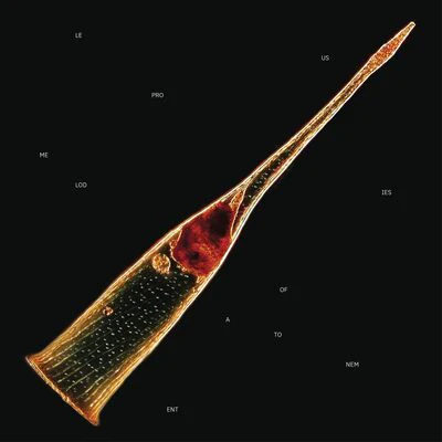 Melodies of Atonement - Leprous [VINYL Limited Edition]