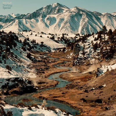 Nothing Special - Will Sheff [VINYL]