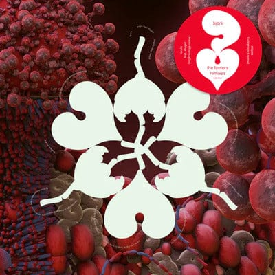 Ovule (Sega Bodega Remix)/Atopos (Sideproject Remix) (RSD 2023) - Björk [Crystal Clear Vinyl] - Image 2