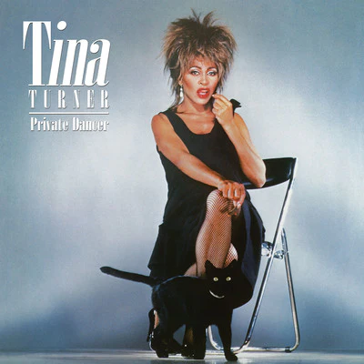 Private Dancer (40th Anniversary Picture Disc) - Tina Turner [Colour Vinyl] - Image 2