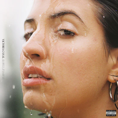 Slowly, It Dawns (Transparent Edition) - Victoria Canal [Colour Vinyl] - Image 2