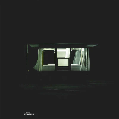 Speakthru - FloFilz [VINYL]