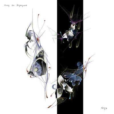 Ugh - Harry the Nightgown [VINYL]