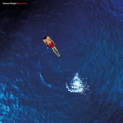 Wet Dream (Limited Edition) - Richard Wright [Colour Vinyl] - Image 2