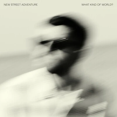 What Kind of World? - New Street Adventure [CD]