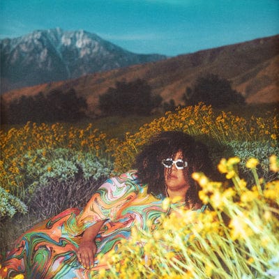 WHAT NOW - Brittany Howard [Colour Vinyl] - Image 2