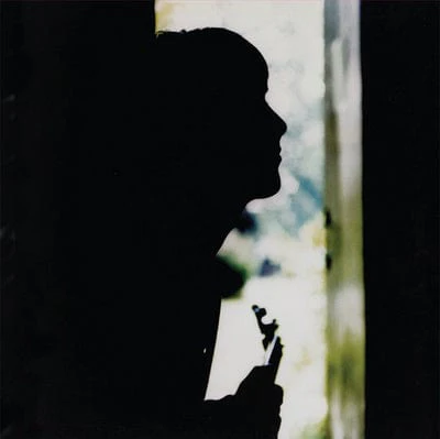 Wild Wood - Paul Weller [VINYL]